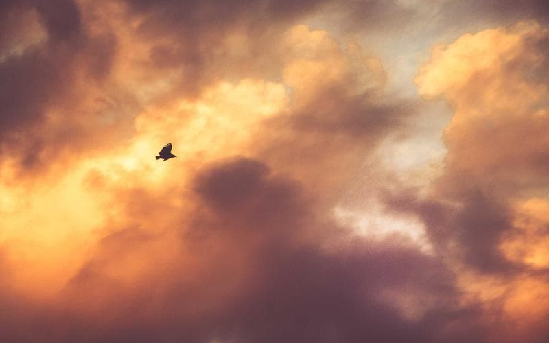 Eğitim Yönetim Sistemi